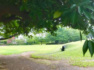 大きめの公園